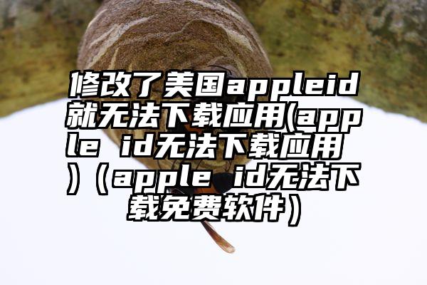 修改了美国appleid就无法下载应用(apple id无法下载应用 )（apple id无法下载免费软件）