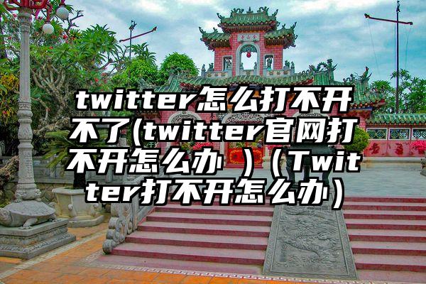 twitter怎么打不开不了(twitter官网打不开怎么办 )（Twitter打不开怎么办）