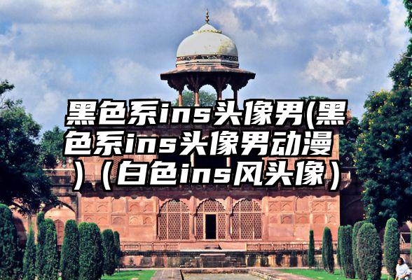 黑色系ins头像男(黑色系ins头像男动漫 )（白色ins风头像）