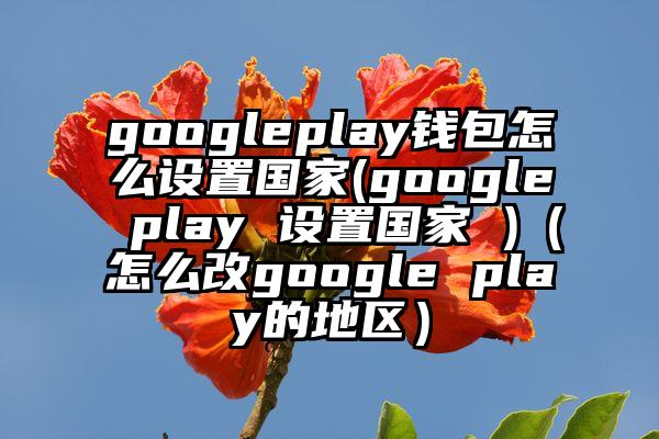 googleplay钱包怎么设置国家(google play 设置国家 )（怎么改google play的地区）
