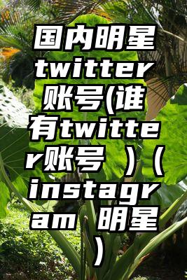 国内明星twitter账号(谁有twitter账号 )（instagram 明星）