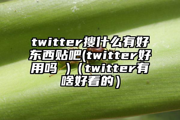 twitter搜什么有好东西贴吧(twitter好用吗 )（twitter有啥好看的）