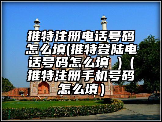 推特注册电话号码怎么填(推特登陆电话号码怎么填 )（推特注册手机号码怎么填）