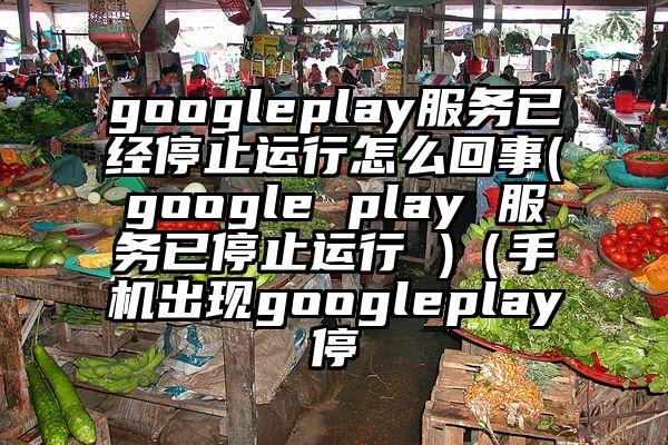 googleplay服务已经停止运行怎么回事(google play 服务已停止运行 )（手机出现googleplay停