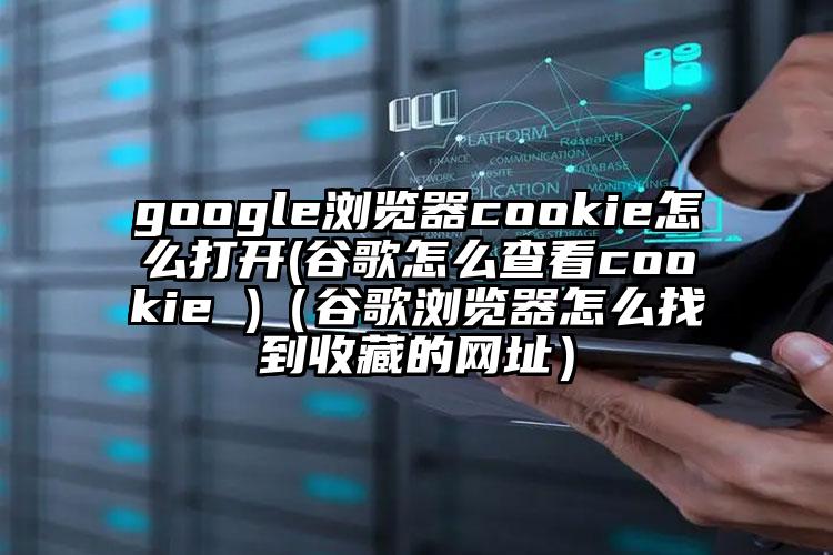 google浏览器cookie怎么打开(谷歌怎么查看cookie )（谷歌浏览器怎么找到收藏的网址）