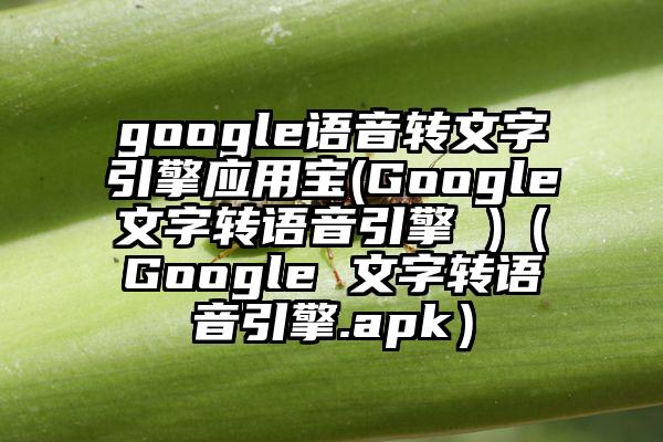 google语音转文字引擎应用宝(Google文字转语音引擎 )（Google 文字转语音引擎.apk）