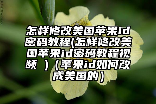 怎样修改美国苹果id密码教程(怎样修改美国苹果id密码教程视频 )（苹果id如何改成美国的）