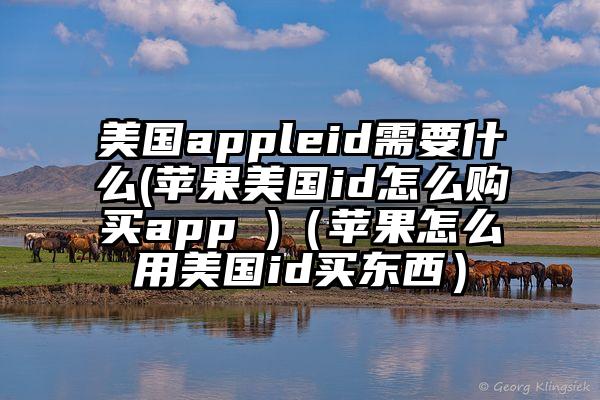 美国appleid需要什么(苹果美国id怎么购买app )（苹果怎么用美国id买东西）
