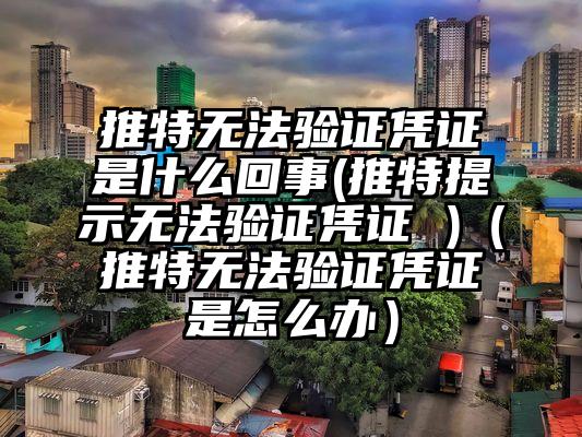 推特无法验证凭证是什么回事(推特提示无法验证凭证 )（推特无法验证凭证是怎么办）