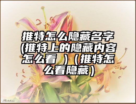 推特怎么隐藏名字(推特上的隐藏内容怎么看 )（推特怎么看隐藏）