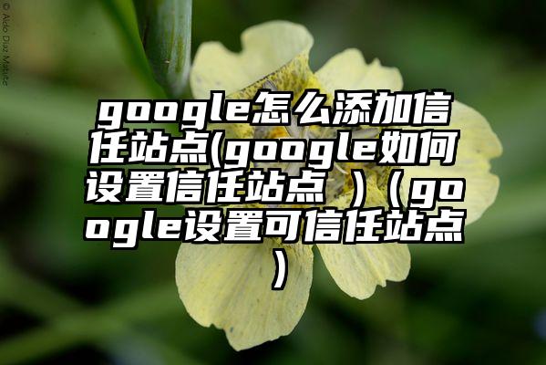 google怎么添加信任站点(google如何设置信任站点 )（google设置可信任站点）