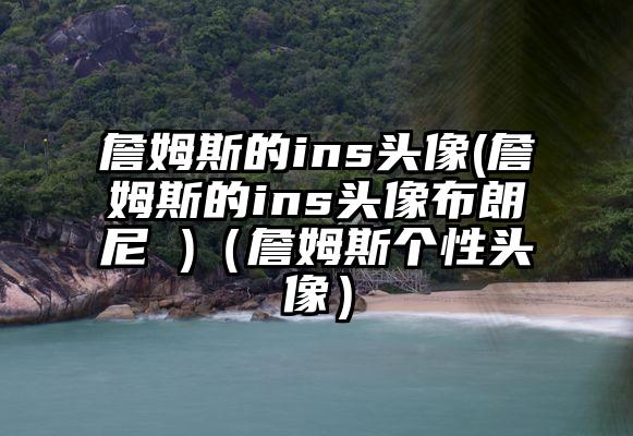 詹姆斯的ins头像(詹姆斯的ins头像布朗尼 )（詹姆斯个性头像）