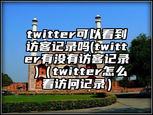 twitter可以看到访客记录吗(twitter有没有访客记录 )（twitter怎么看访问记录）