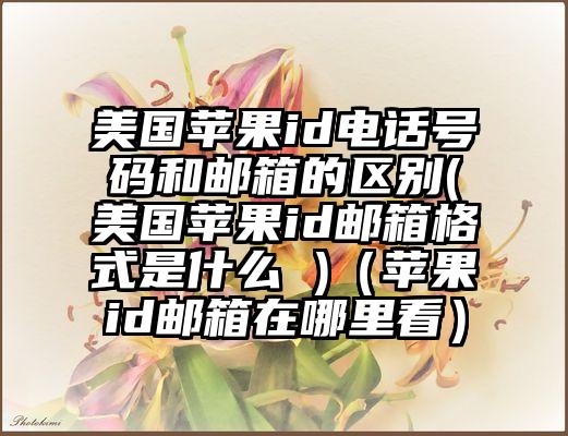 美国苹果id电话号码和邮箱的区别(美国苹果id邮箱格式是什么 )（苹果id邮箱在哪里看）
