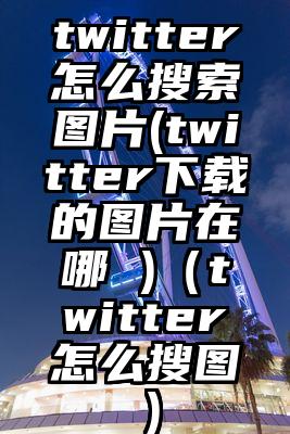twitter怎么搜索图片(twitter下载的图片在哪 )（twitter怎么搜图）