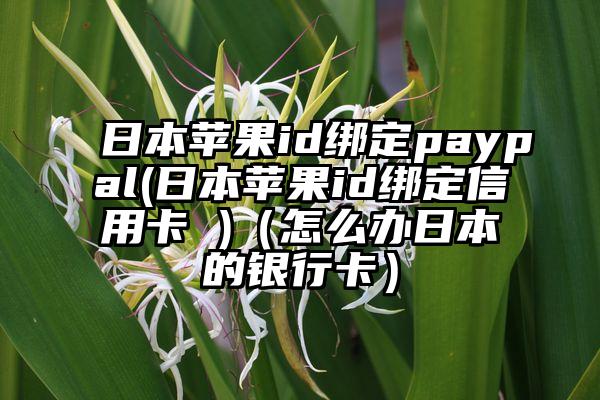日本苹果id绑定paypal(日本苹果id绑定信用卡 )（怎么办日本的银行卡）