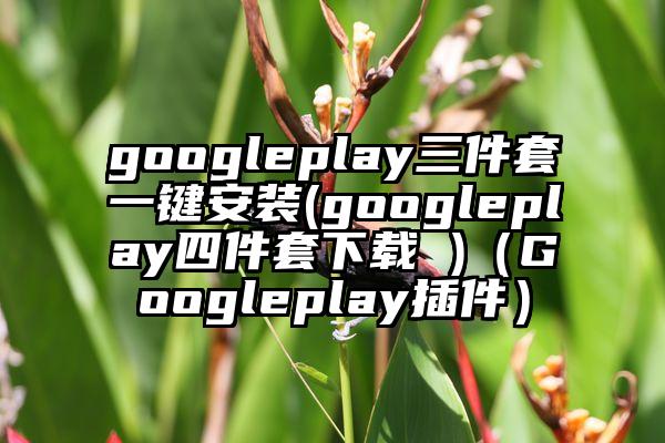 googleplay三件套一键安装(googleplay四件套下载 )（Googleplay插件）