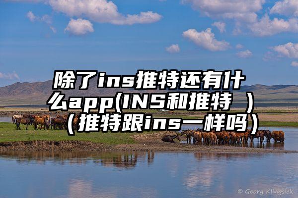 除了ins推特还有什么app(INS和推特 )（推特跟ins一样吗）