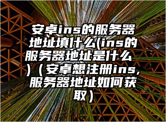 安卓ins的服务器地址填什么(ins的服务器地址是什么 )（安卓想注册ins,服务器地址如何获取）