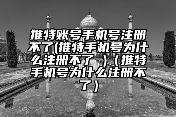 推特账号手机号注册不了(推特手机号为什么注册不了 )（推特手机号为什么注册不了）