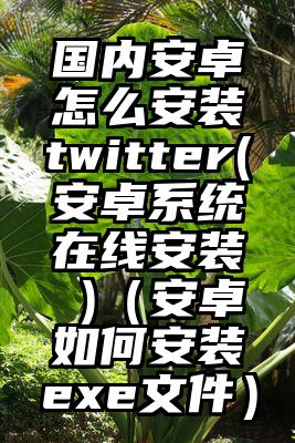 国内安卓怎么安装twitter(安卓系统在线安装 )（安卓如何安装exe文件）