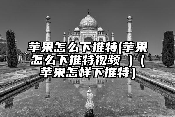 苹果怎么下推特(苹果怎么下推特视频 )（苹果怎样下推特）