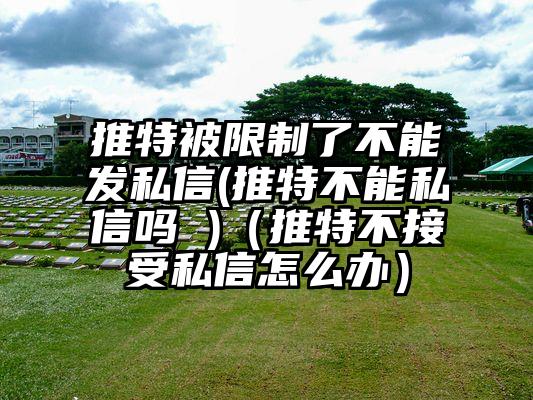 推特被限制了不能发私信(推特不能私信吗 )（推特不接受私信怎么办）