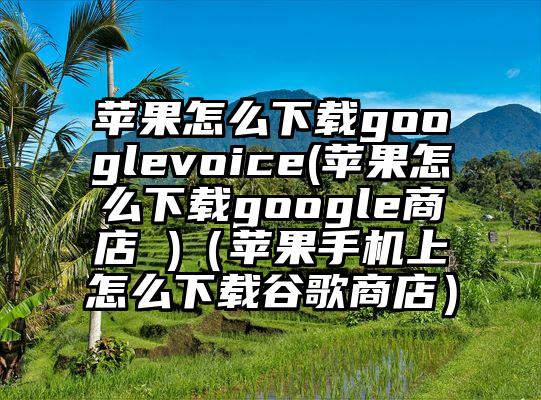 苹果怎么下载googlevoice(苹果怎么下载google商店 )(苹果手机上怎么下载谷歌商店)