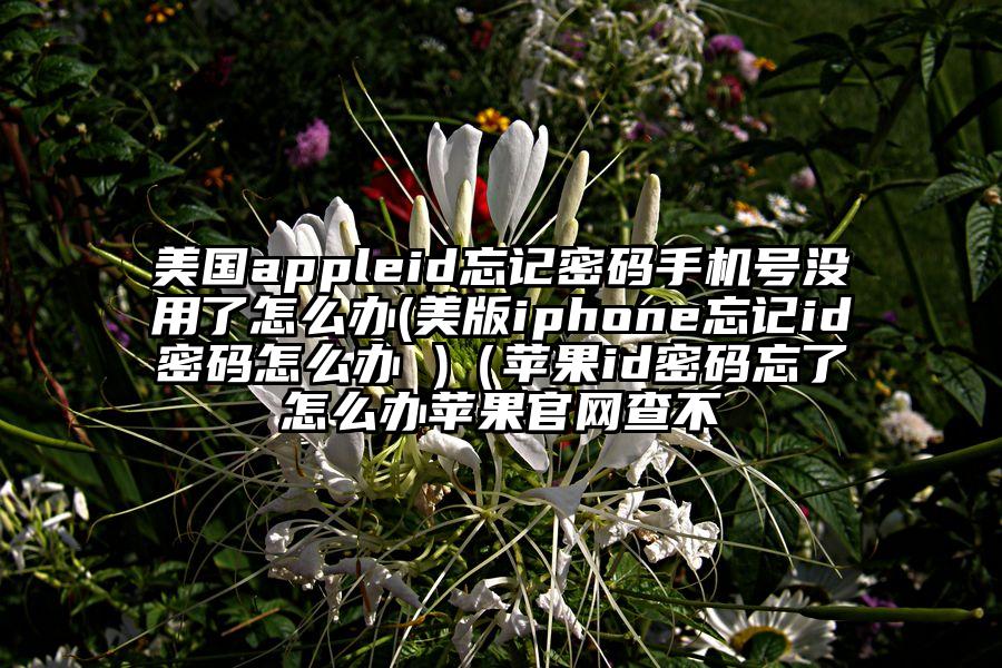美国appleid忘记密码手机号没用了怎么办(美版iphone忘记id密码怎么办 )（苹果id密码忘了怎么办苹果官网查不