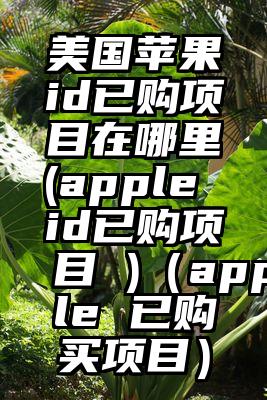 美国苹果id已购项目在哪里(apple id已购项目 )（apple 已购买项目）