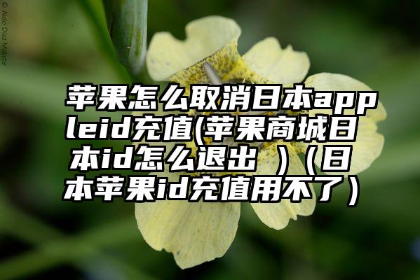 苹果怎么取消日本appleid充值(苹果商城日本id怎么退出 )（日本苹果id充值用不了）