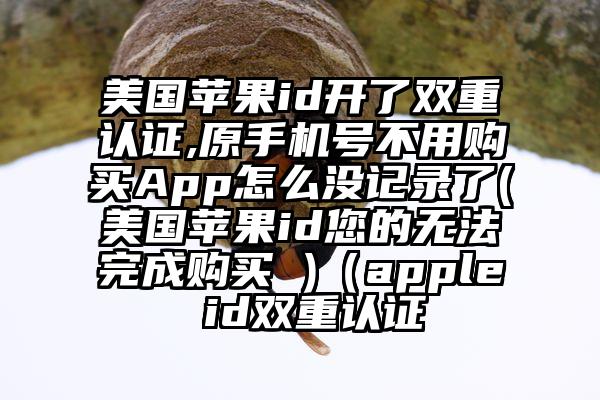 美国苹果id开了双重认证,原手机号不用购买App怎么没记录了(美国苹果id您的无法完成购买 )（apple id双重认证