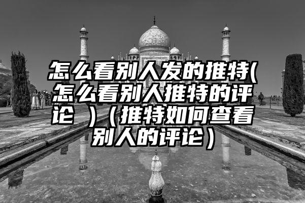 怎么看别人发的推特(怎么看别人推特的评论 )（推特如何查看别人的评论）