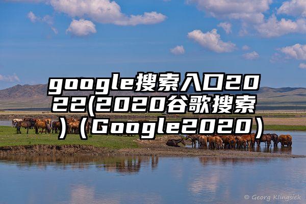 google搜索入口2022(2020谷歌搜索 )（Google2020）