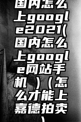 国内怎么上google2021(国内怎么上google网站手机 )（怎么才能上嘉德拍卖）