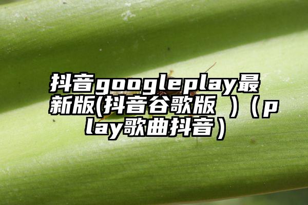 抖音googleplay最新版(抖音谷歌版 )（play歌曲抖音）