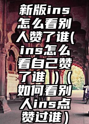 新版ins怎么看别人赞了谁(ins怎么看自己赞了谁 )（如何看别人ins点赞过谁）