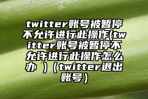 twitter账号被暂停不允许进行此操作(twitter账号被暂停不允许进行此操作怎么办 )（twitter退出账号）