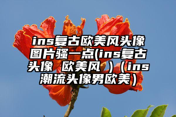ins复古欧美风头像图片骚一点(ins复古头像 欧美风 )（ins潮流头像男欧美）
