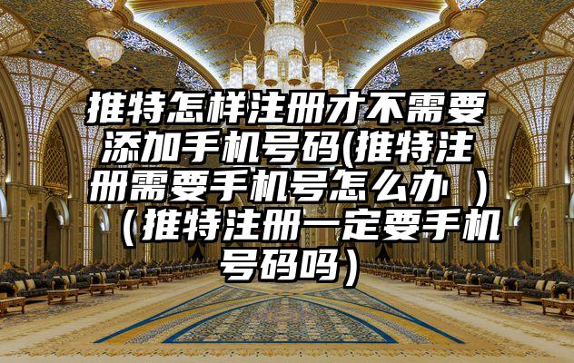 推特怎样注册才不需要添加手机号码(推特注册需要手机号怎么办 )（推特注册一定要手机号码吗）