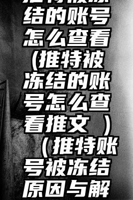 推特被冻结的账号怎么查看(推特被冻结的账号怎么查看推文 )（推特账号被冻结原因与解冻方法）