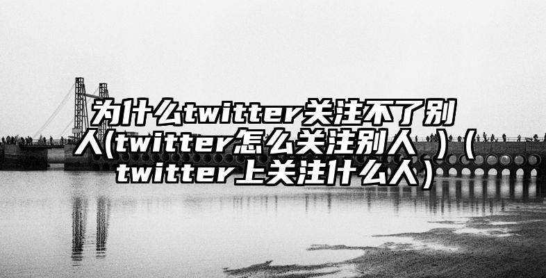 为什么twitter关注不了别人(twitter怎么关注别人 )（twitter上关注什么人）
