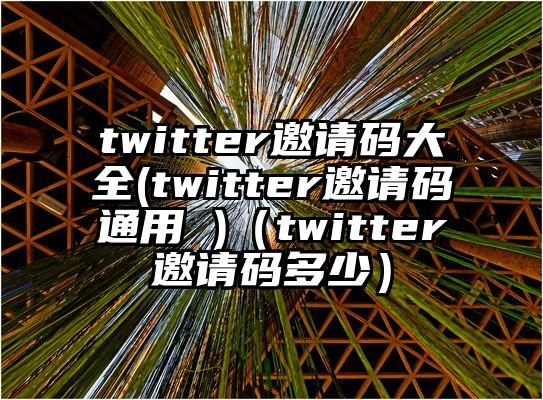 twitter邀请码大全(twitter邀请码通用 )（twitter邀请码多少）