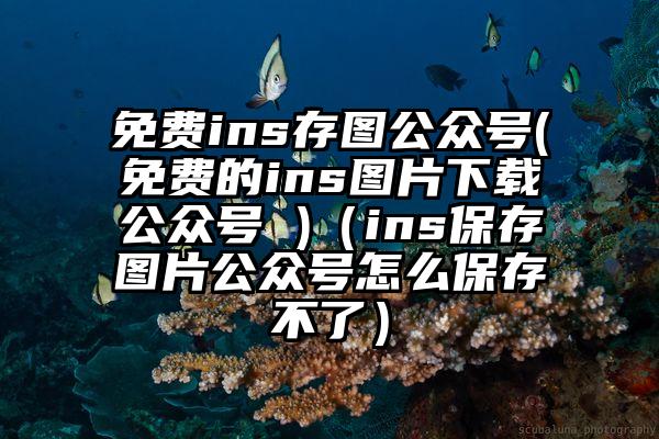 免费ins存图公众号(免费的ins图片下载公众号 )（ins保存图片公众号怎么保存不了）