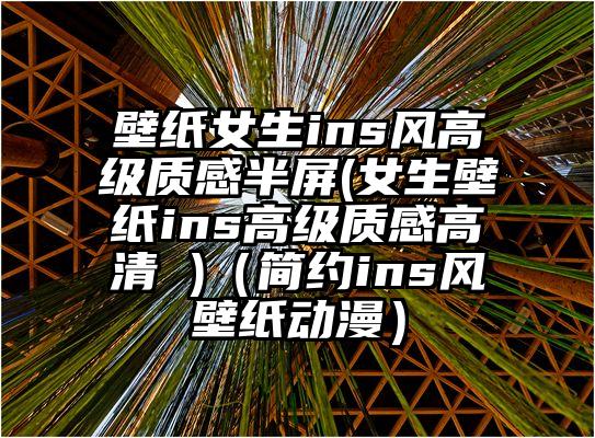 壁纸女生ins风高级质感半屏(女生壁纸ins高级质感高清 )（简约ins风壁纸动漫）