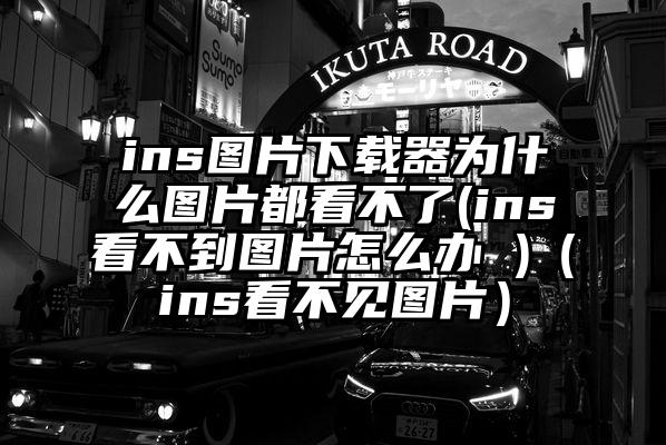 ins图片下载器为什么图片都看不了(ins看不到图片怎么办 )（ins看不见图片）