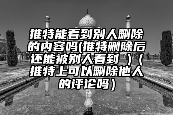 推特能看到别人删除的内容吗(推特删除后还能被别人看到 )（推特上可以删除他人的评论吗）