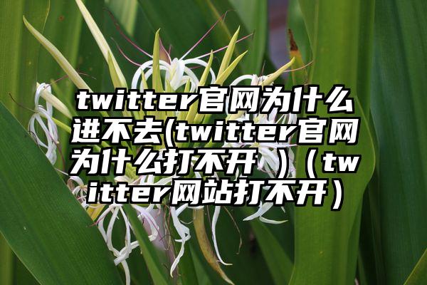 twitter官网为什么进不去(twitter官网为什么打不开 )（twitter网站打不开）