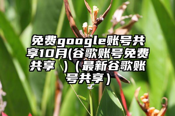 免费google账号共享10月(谷歌账号免费共享 )（最新谷歌账号共享）