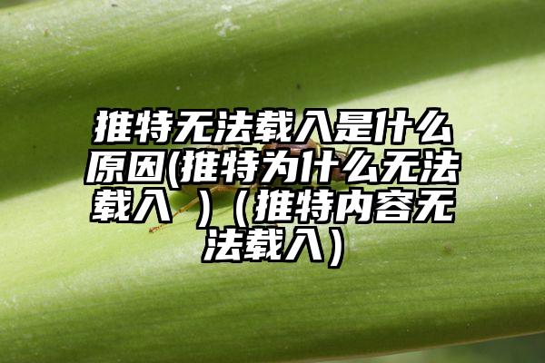 推特无法载入是什么原因(推特为什么无法载入 )（推特内容无法载入）